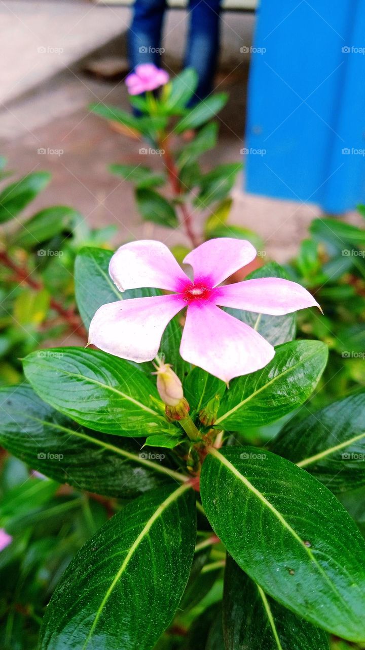 It rained at that time, in that rain you got wet eyes. Suddenly lightning came that day, as if everyone had become desolate.