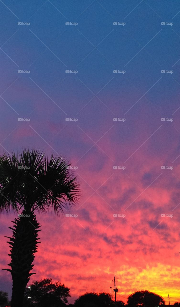 Jacksonville sunset