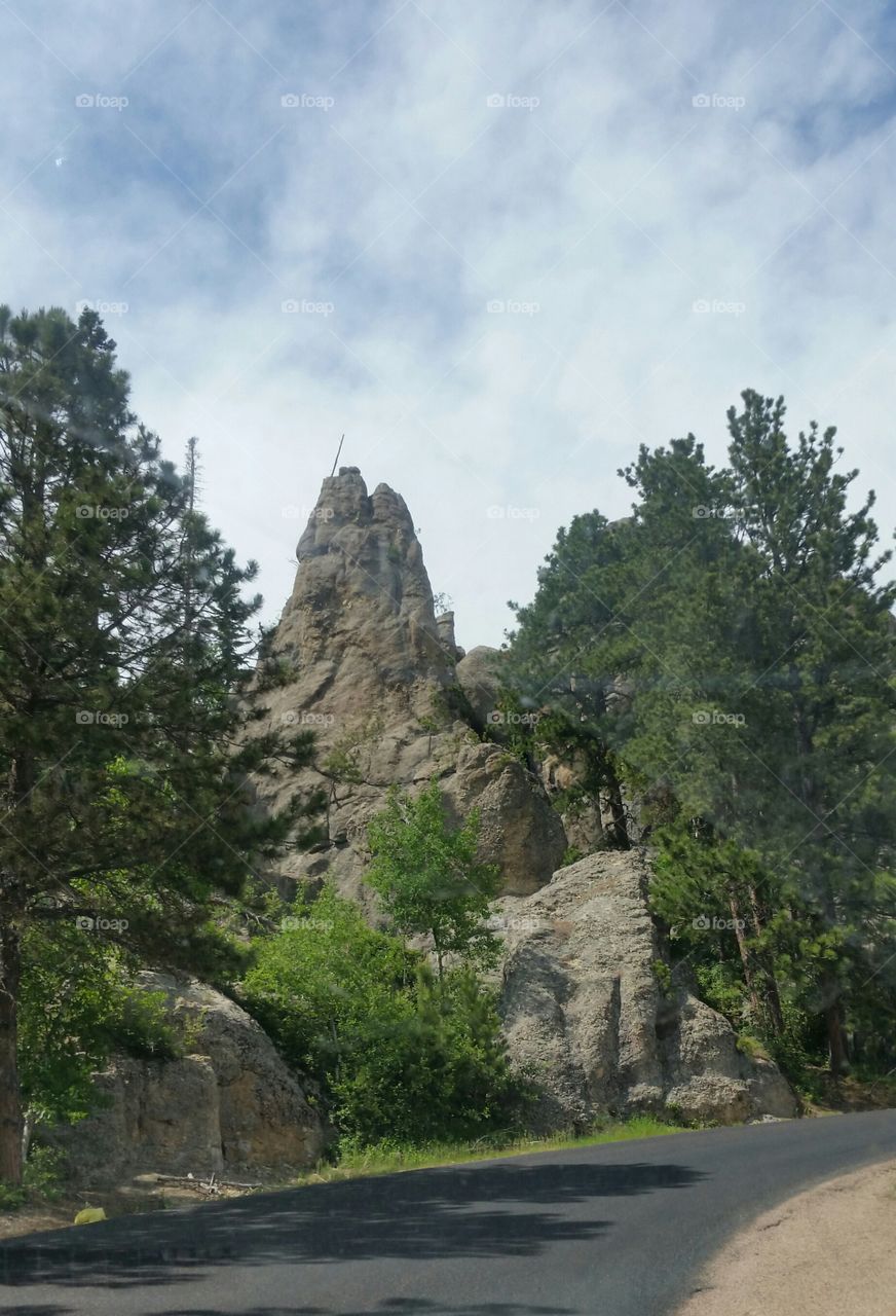 the majestic Needles  in custer state park,  south dakota.
