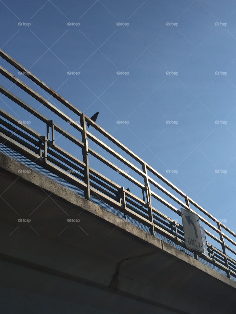 No Person, Bridge, Sky, Architecture, Steel