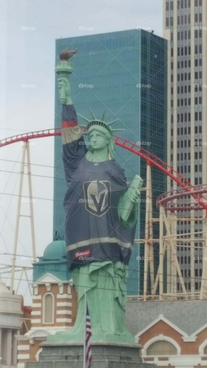 statue wearing a Vegas golden knights Jersey