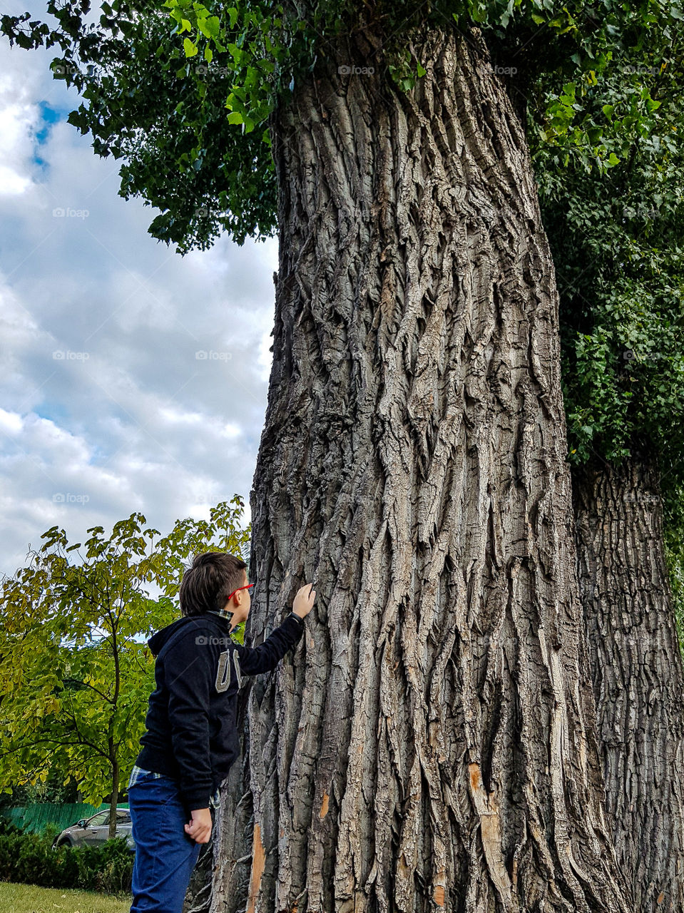 One child near the big tree.