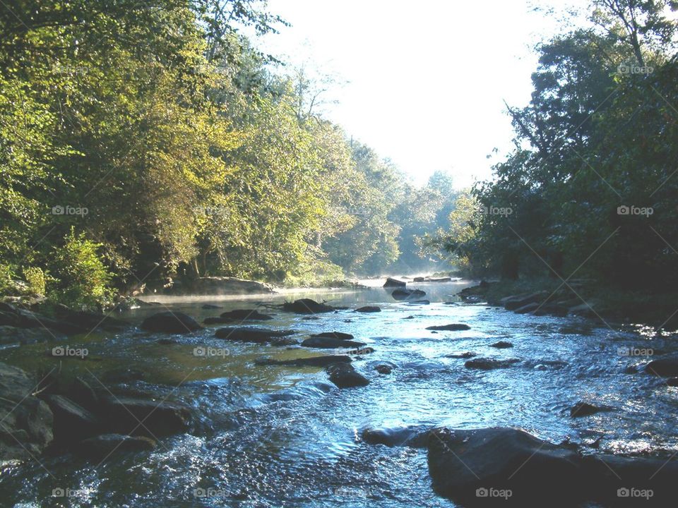 Mulberry Fork
