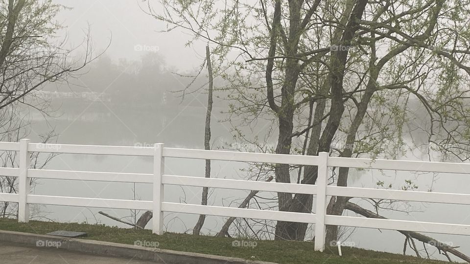 Lake Fog early morning calm conditions trees blooming new Spring Leaves. Qieut. Peaceful. 