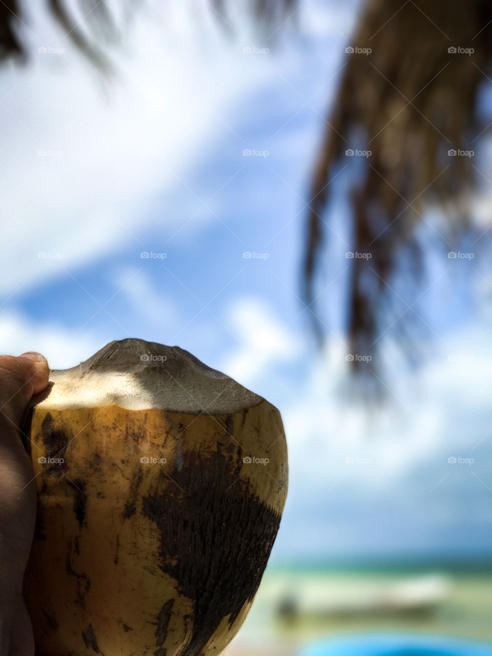 Coconut 🌴 
