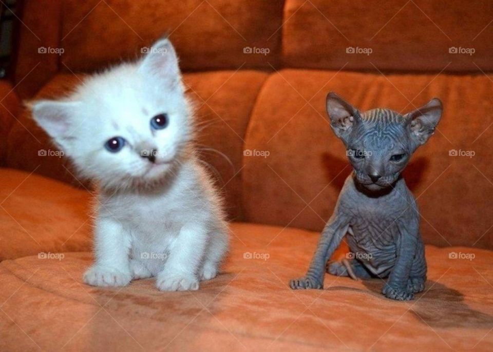 Weiss und Schwarz👓🕶️