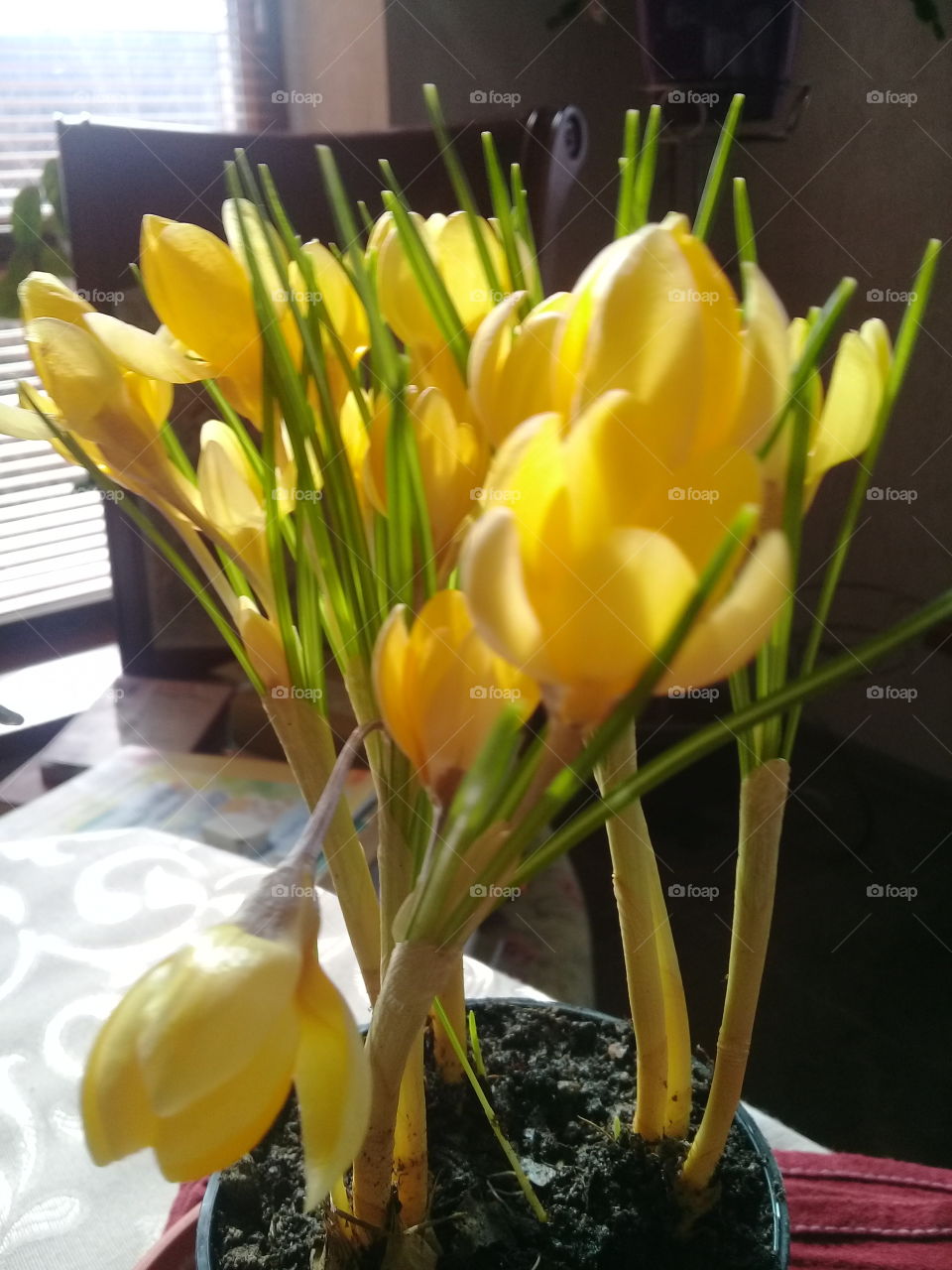 The spring is coming