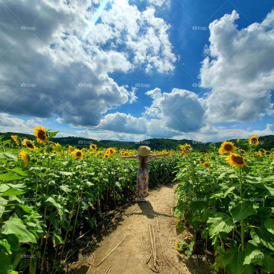 woman in a sunflower field