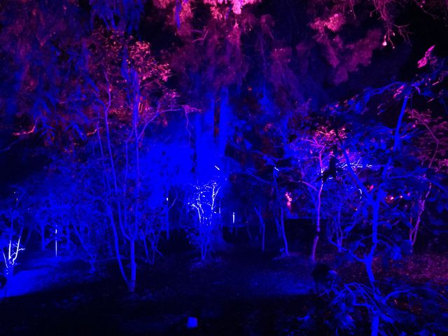 Light Show