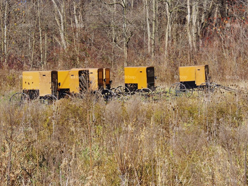 Amish Buggies