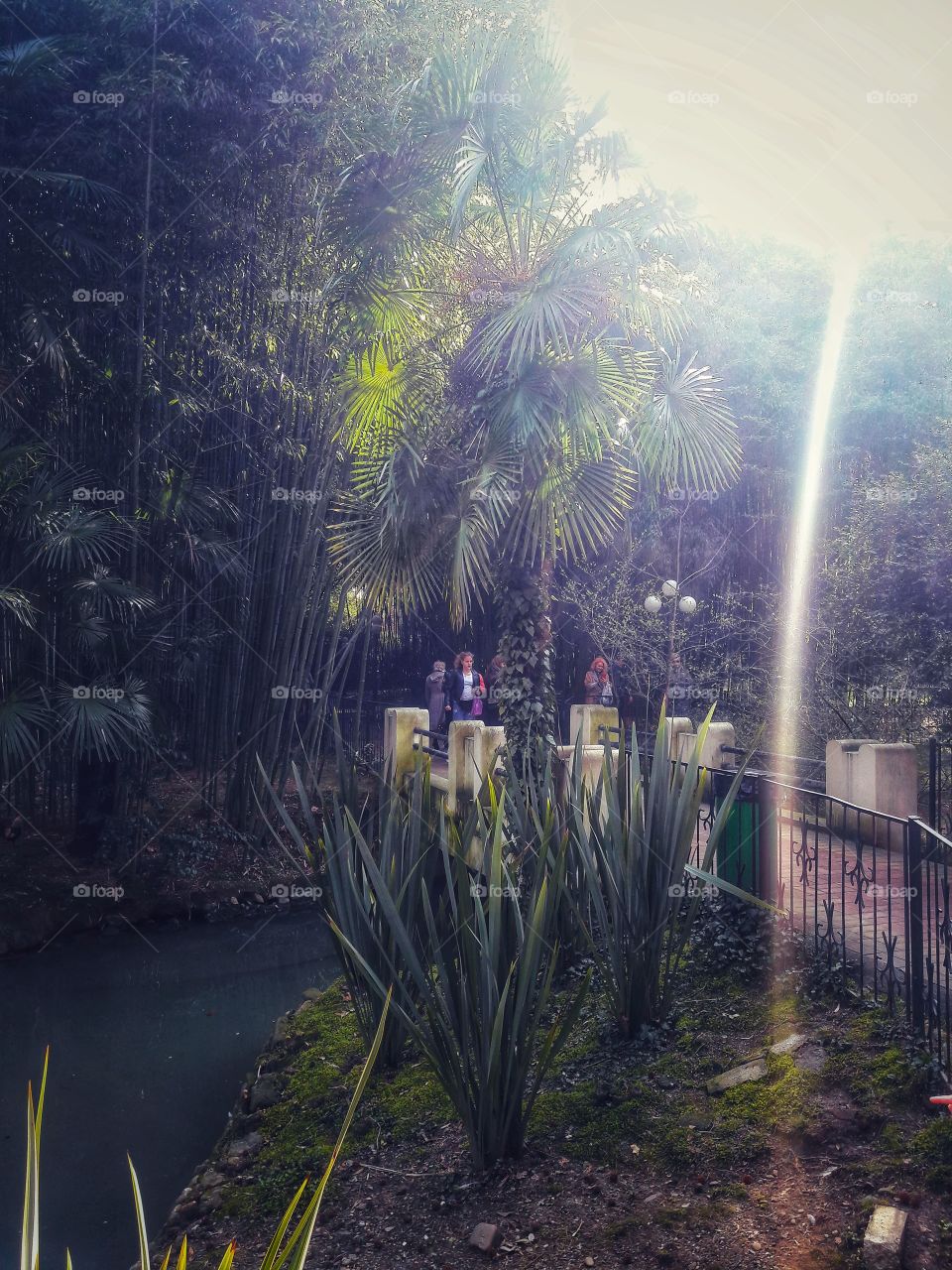 spring flower day outdoor