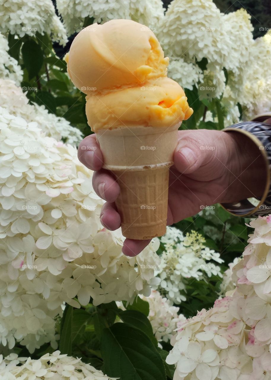 Hands Holding Ice Cream 