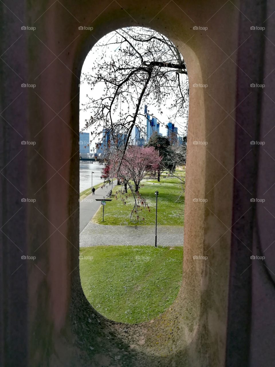 Springtime Skyline Frankfurt