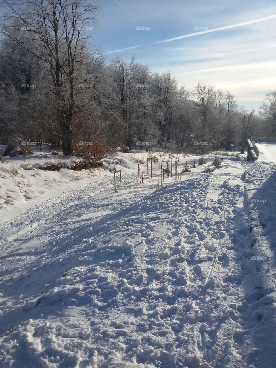 winter landscape with snow