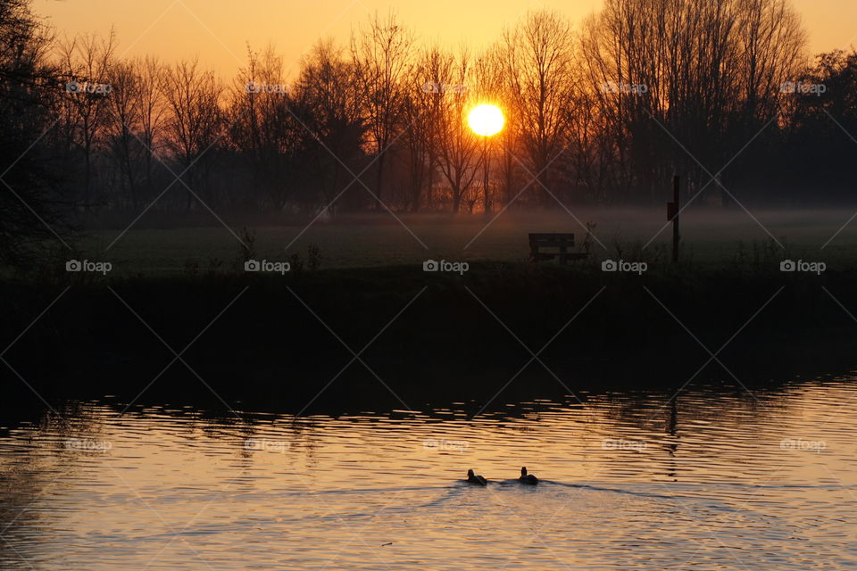 Two Little Ducks with a sunset backdrop 