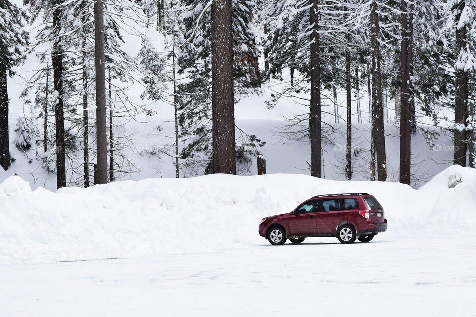 Red SUV stands out on white snow (negative space, rule of thirds, red color effect)