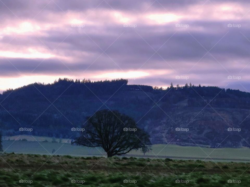 Cloudy morning in the Willamette Valley