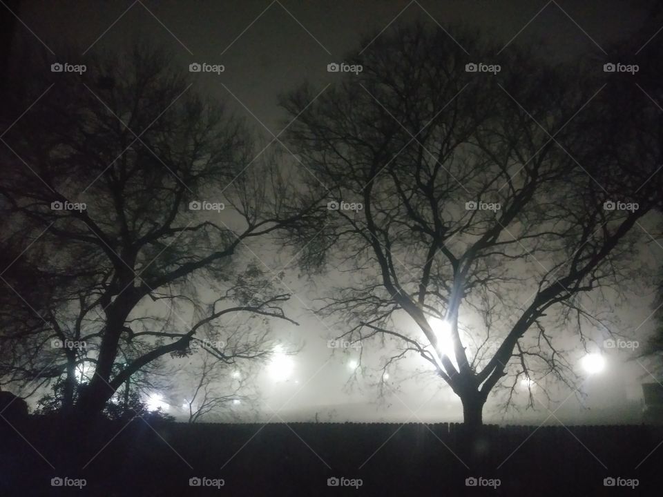 Foggy night in Texas