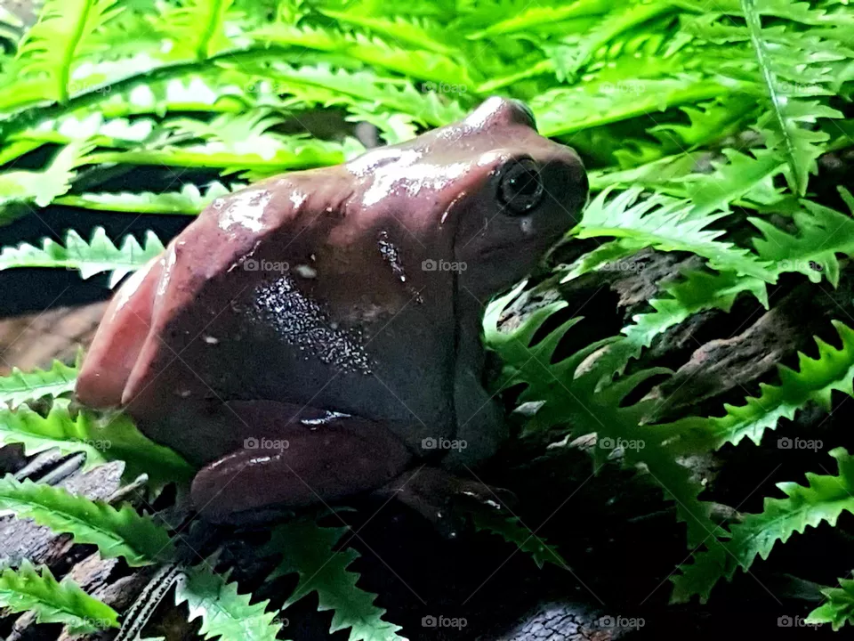 slimy friend