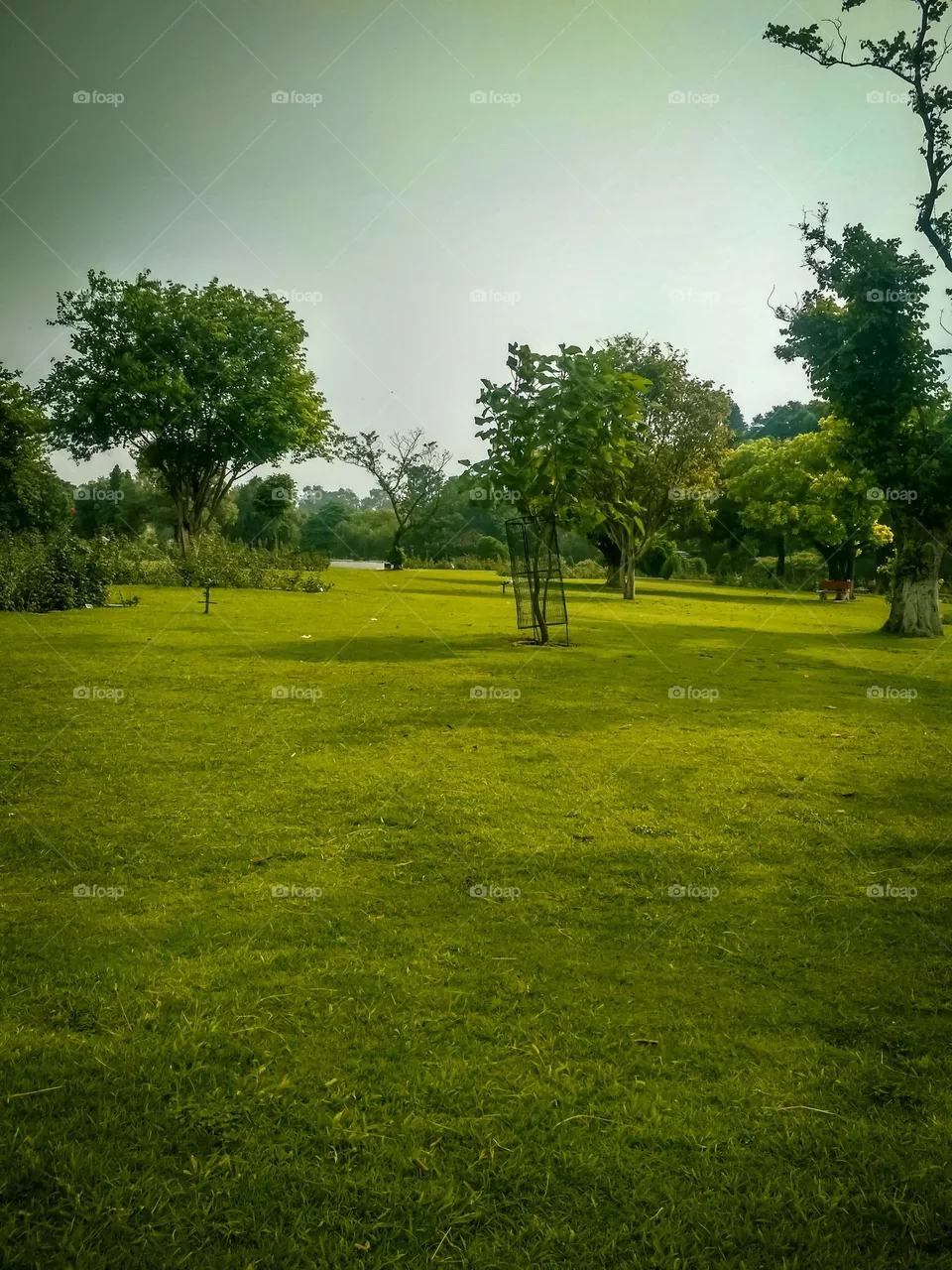 amazing garden