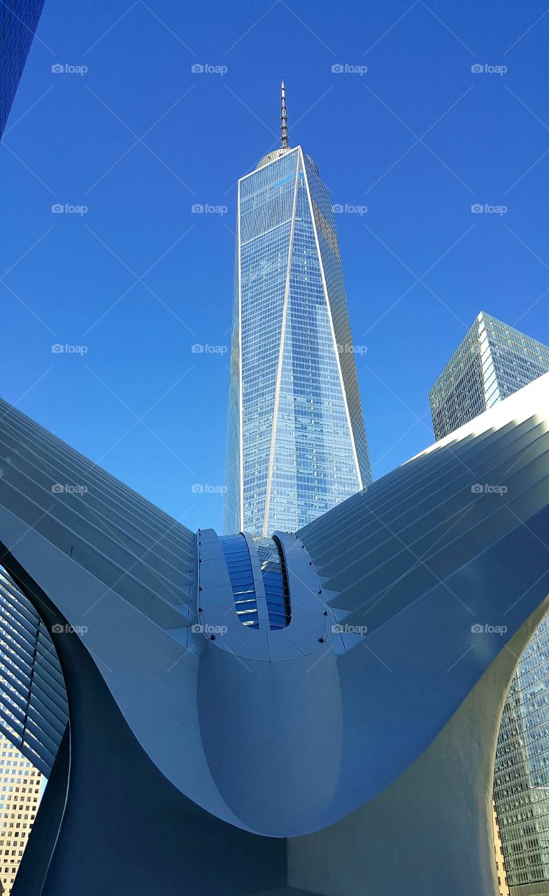 The Oculus and the One world observatory...