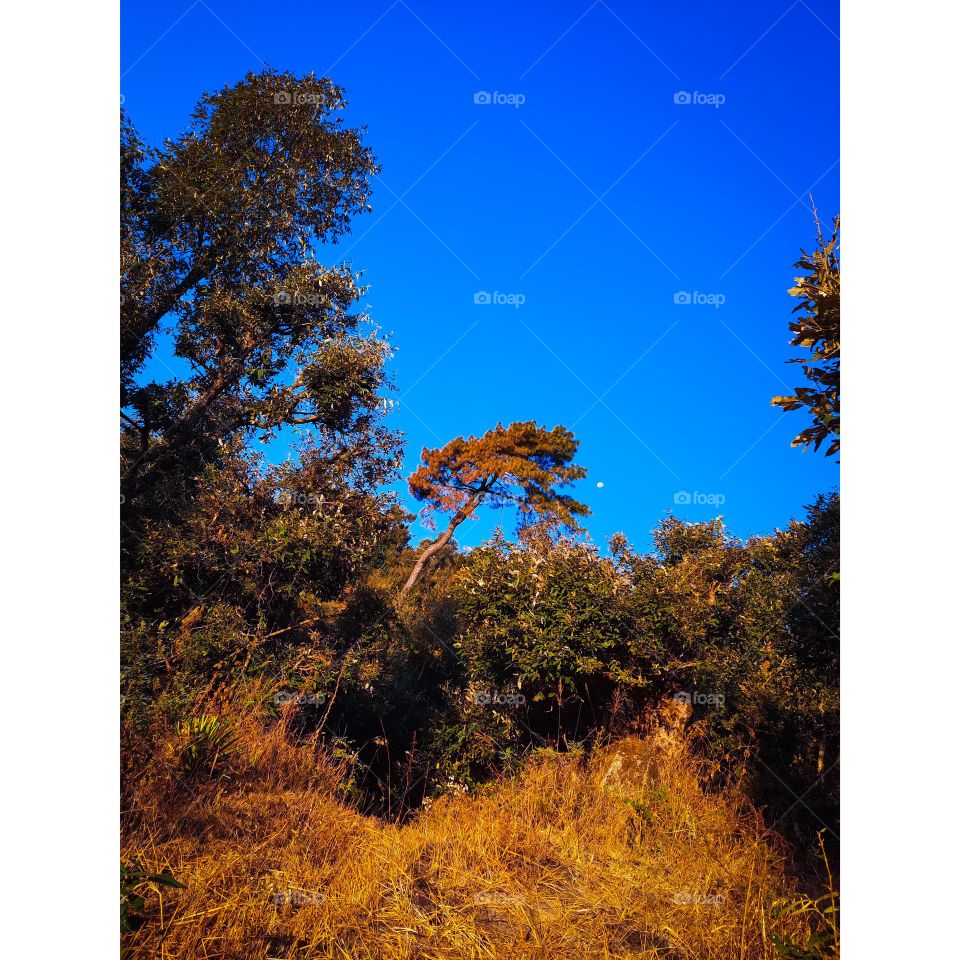 Editors' Choice: Photo of the week