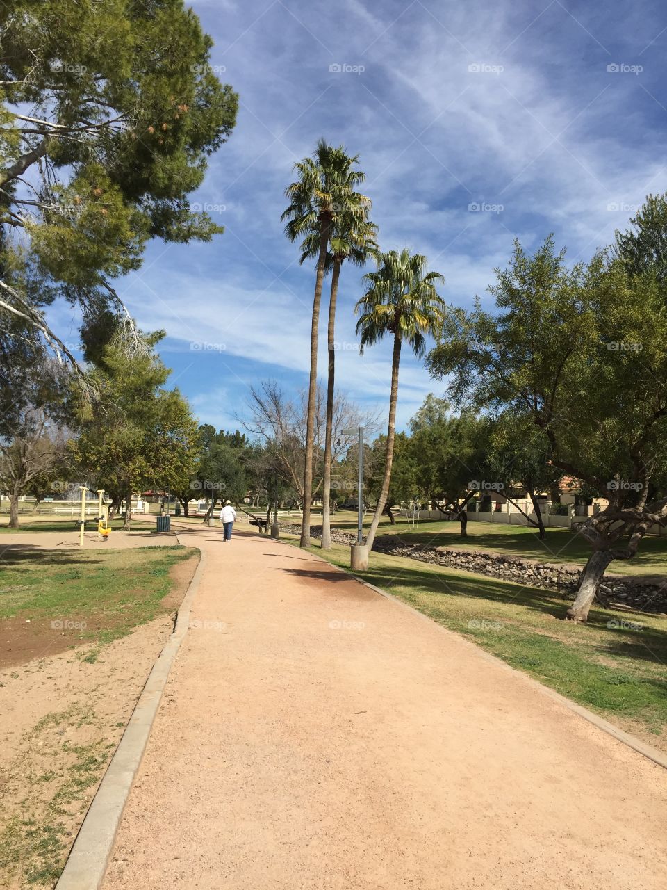 Walking path on a park