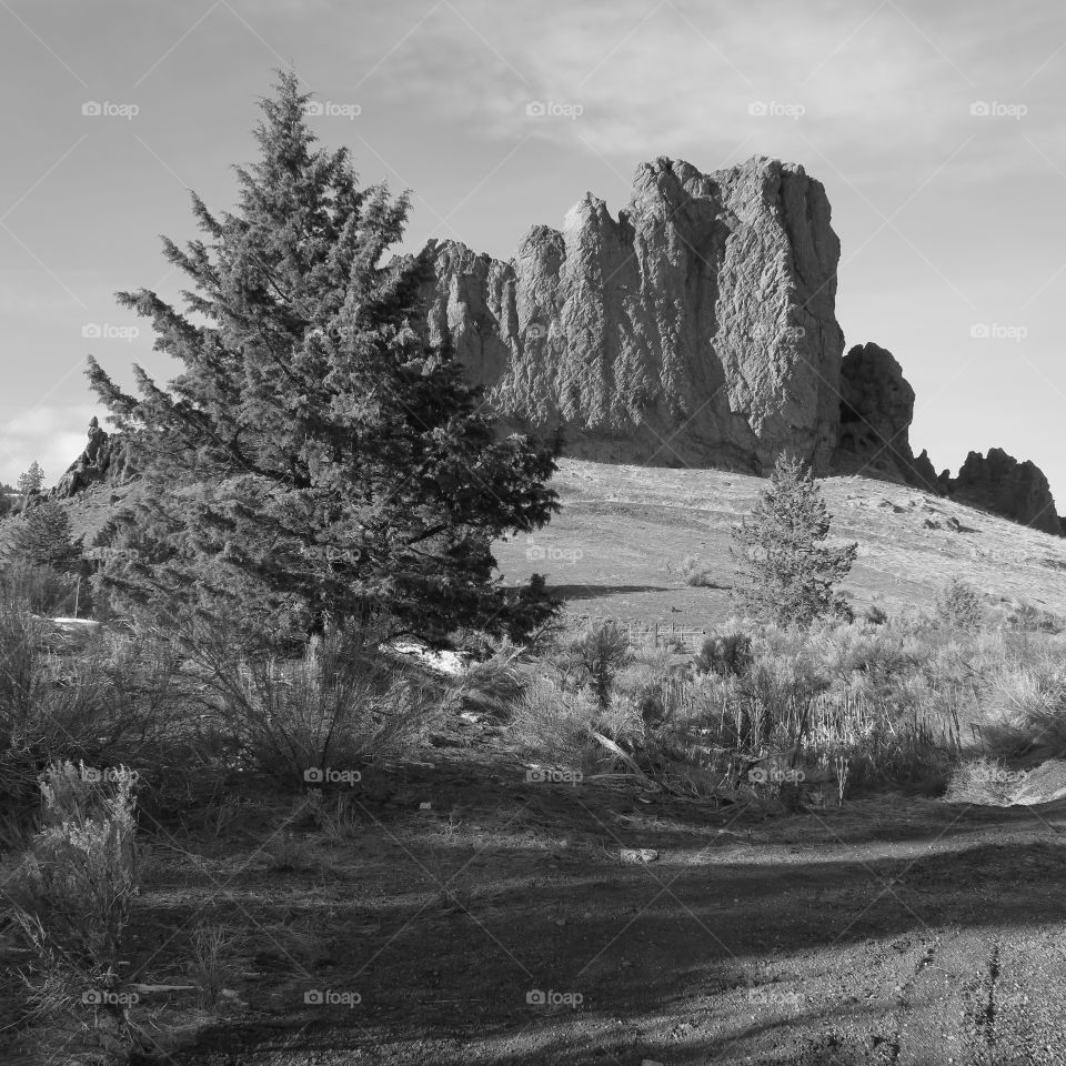 Eagle Rock in Central Oregon shoots out of the ground on a winter day. 