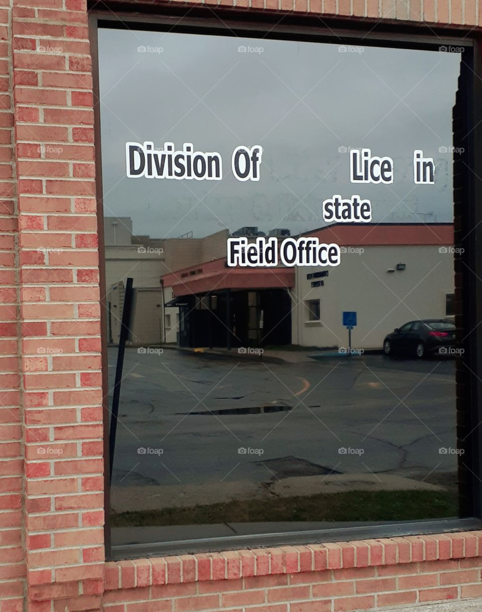 division of what?