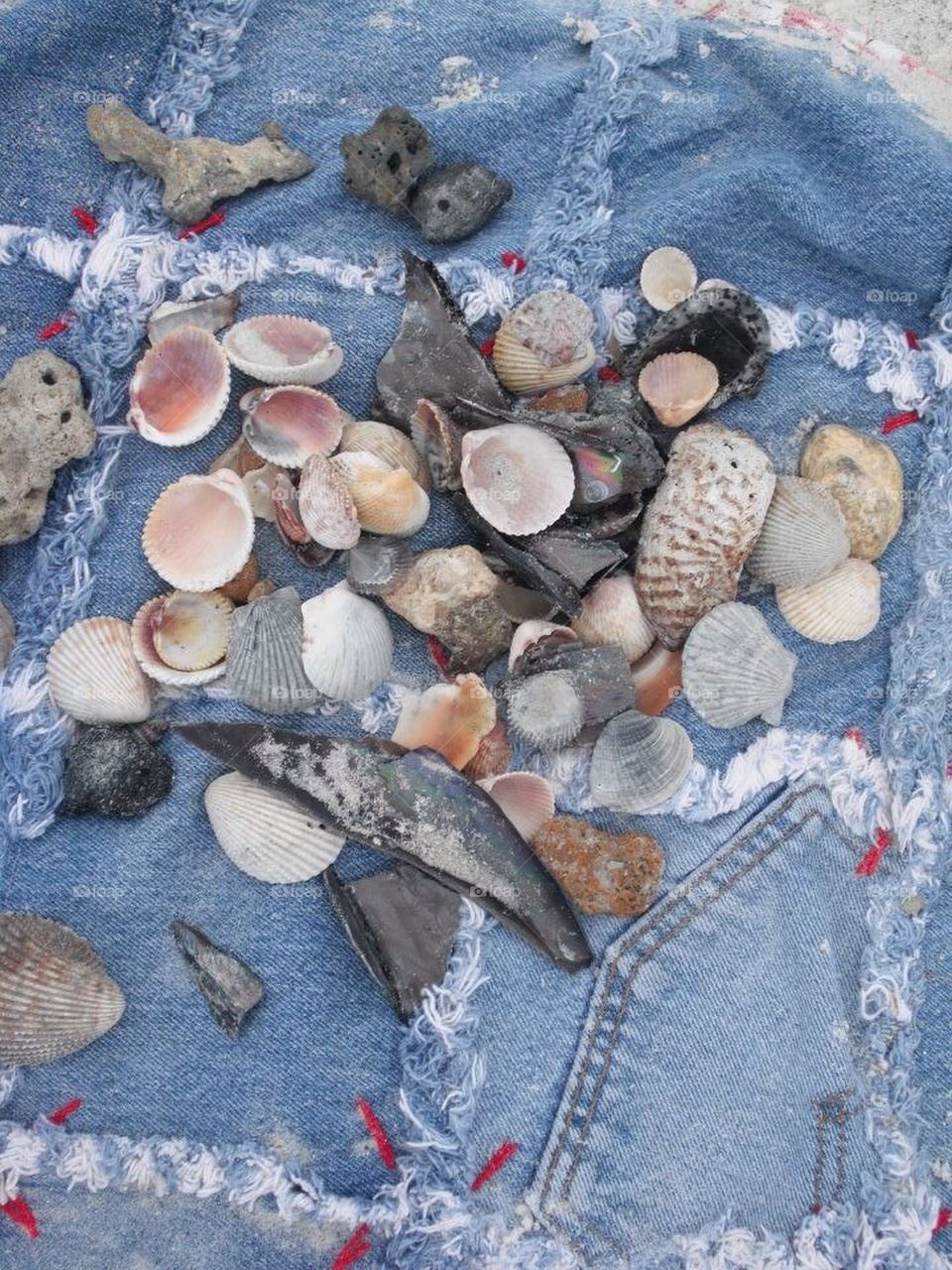 Beach treasures