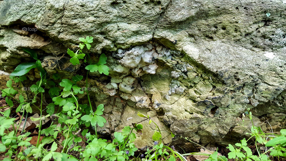 Crystals Growing on Rock- A crystal is growing on the outside of this rock.