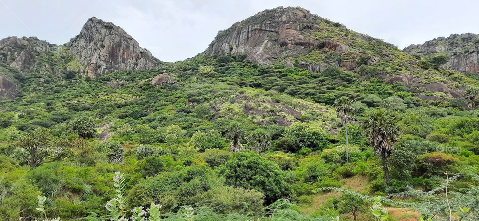 Greeny mountains.lets go for a trekking...
