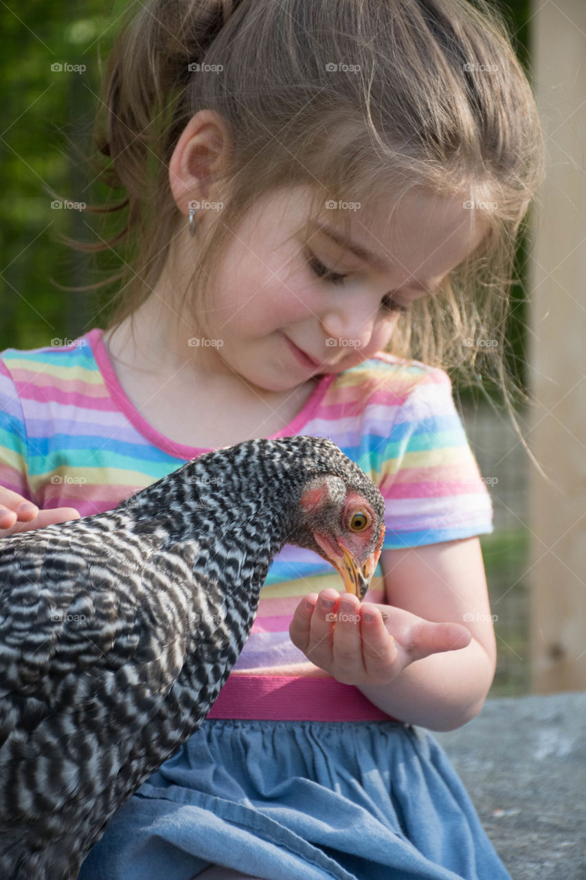 The Chicken Whisperer