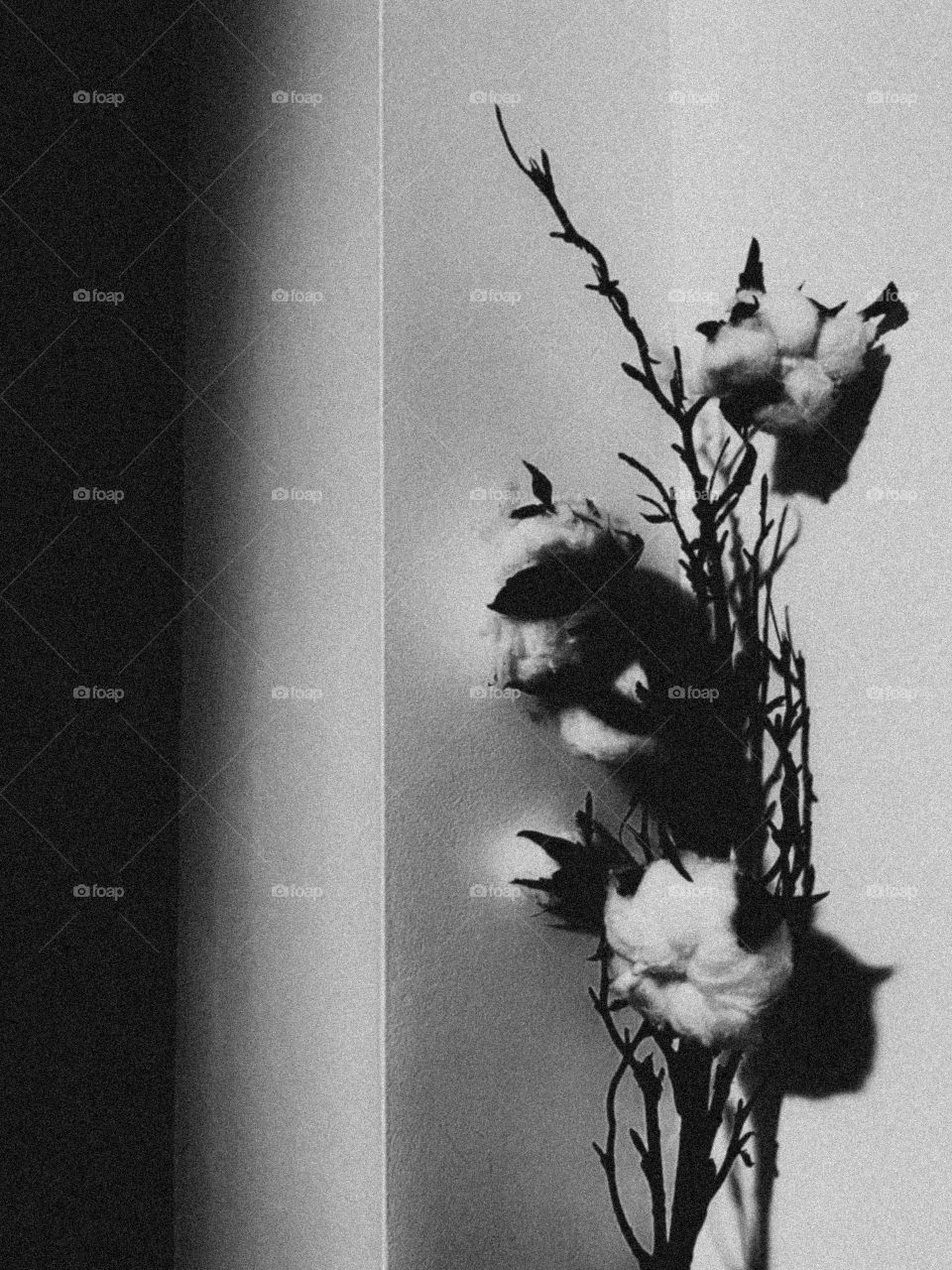 Dark Hours in the times of light. 