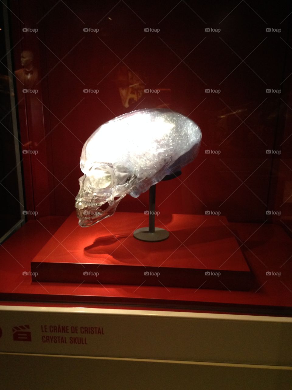Crystal skull prop from the Indiana Jones movie