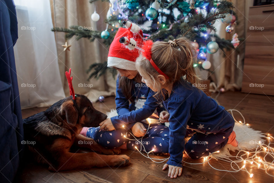 Little sisters with the puppy near Christmas tree