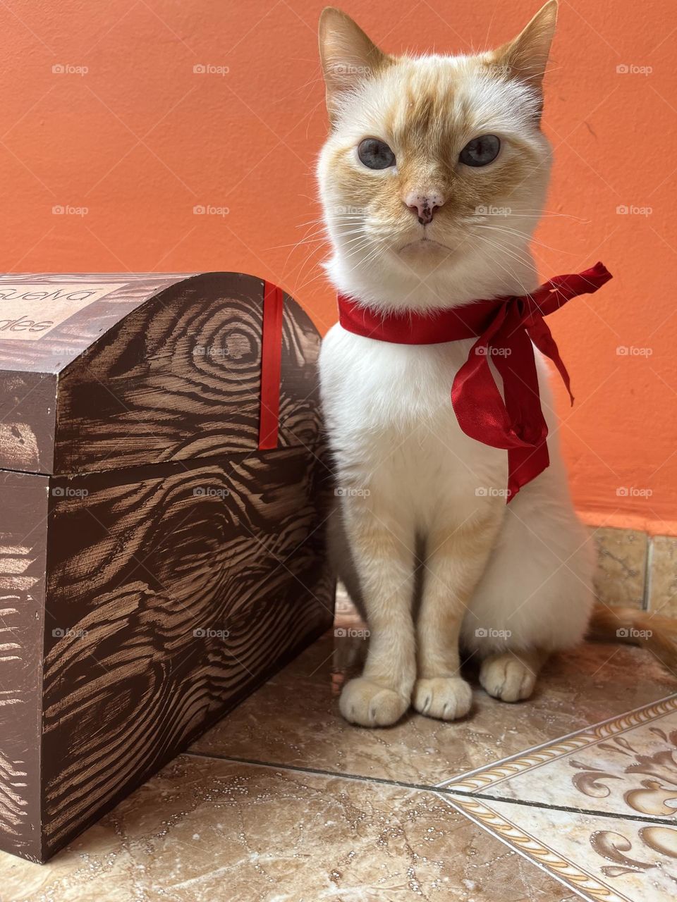 A nice cat next to the wood trunk