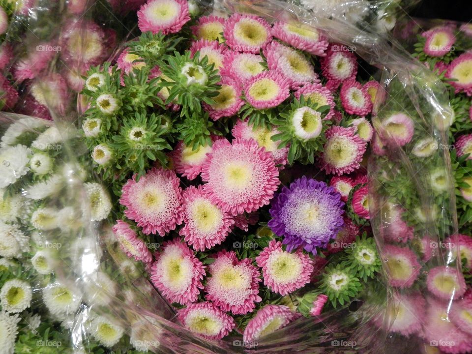 Bangkok flower market 