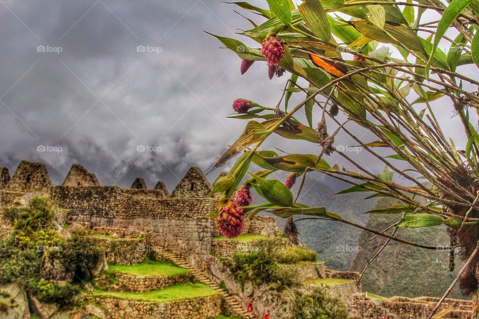 Machu Picchu 