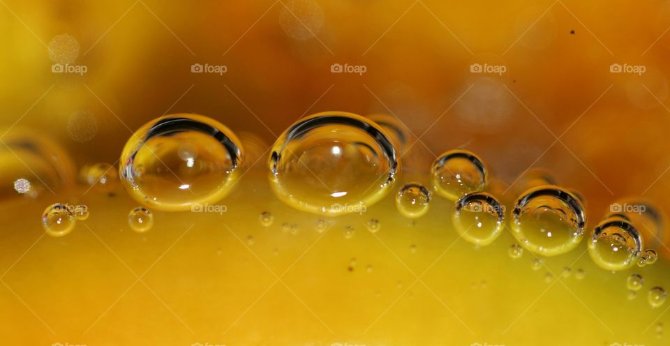 Macro photo of bubbles