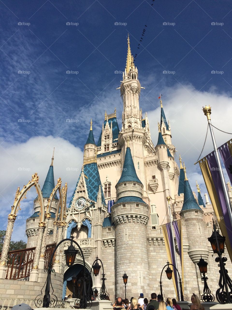 Cinderella's  castle 