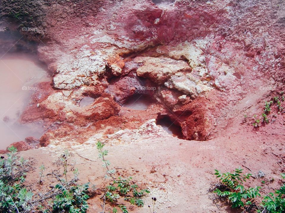 Valley of Geysers