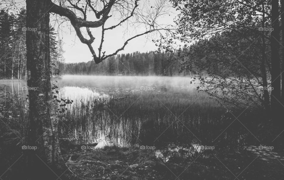 Finnish lake in the morning fog