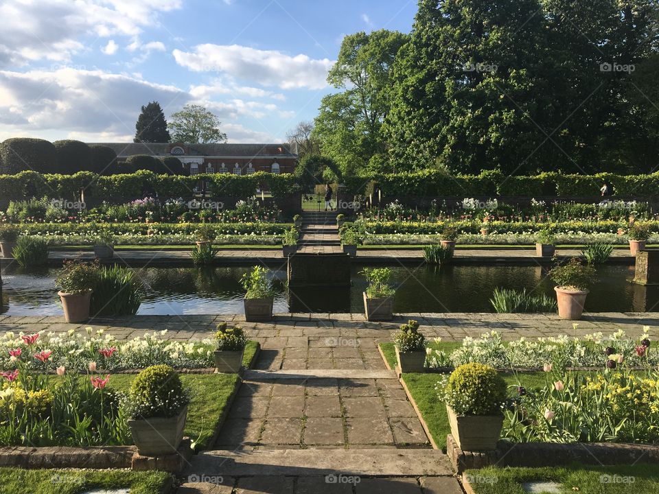Diana's Garden in London