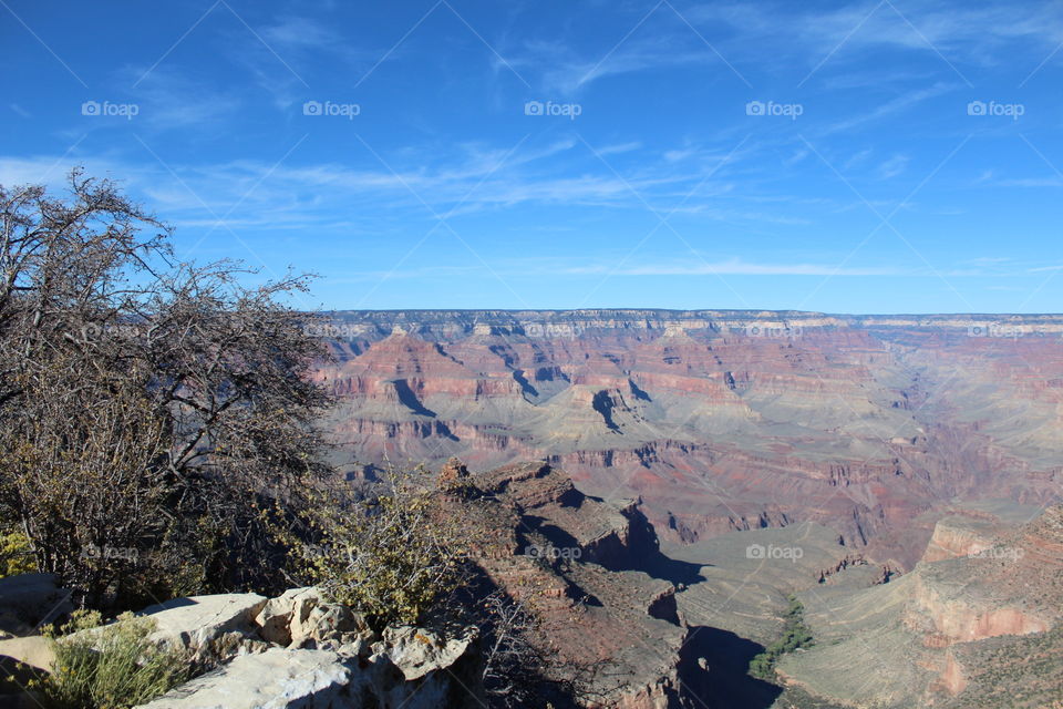 Grand Canyon View