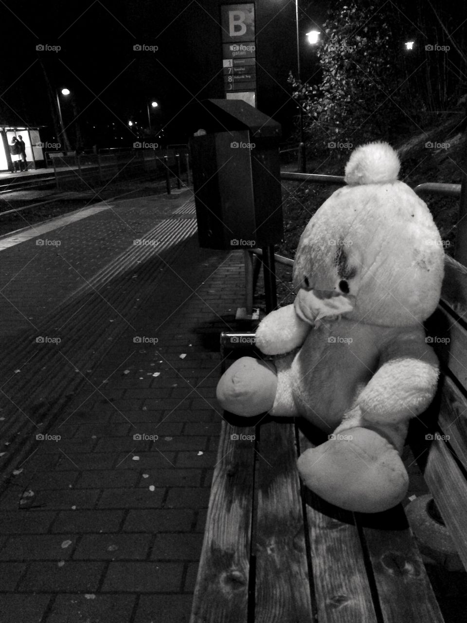 Teddy duck abandoned at tram stop 
