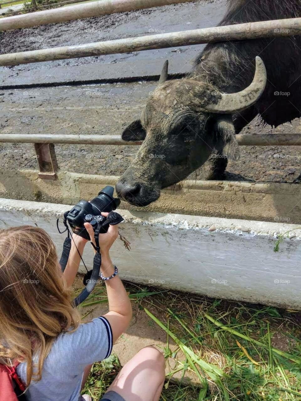 Video Creators at Work