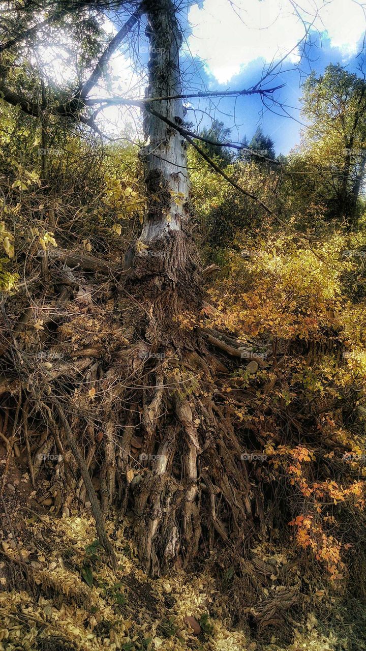 Clinging to the edge