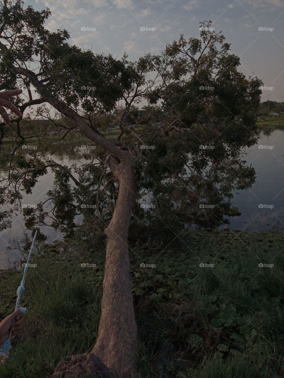 A Natureza e seus encantos