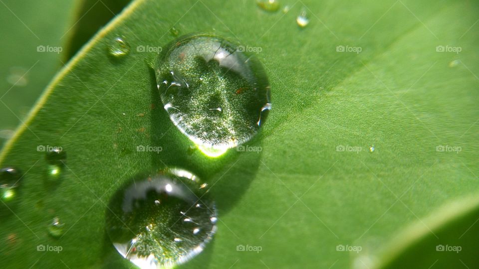 water drops